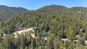 Aerial overview of property's location featuring a heavily wooded area and a mountain backdrop