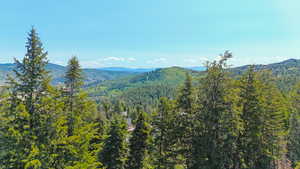 View of mountain backdrop with a heavily wooded area