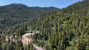 View of mountain background featuring a forest
