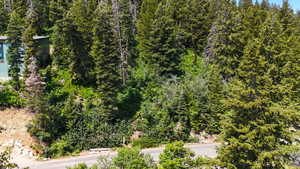 Bird's eye view of a heavily wooded area