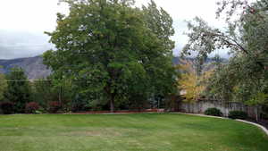 View of yard with a mountain view