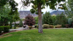 View of yard with a mountain view