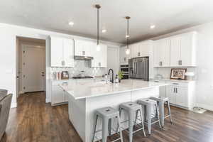 Kitchen featuring white cabinetry, stainless steel appliances, and dark wood-type flooring