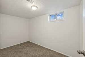 Basement featuring carpet flooring and a textured ceiling