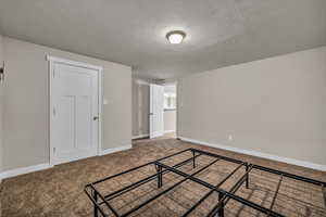 Interior space featuring a closet, a textured ceiling, and carpet flooring