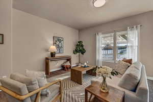 Living area with dark colored carpet