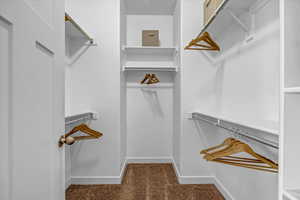 Walk in closet with carpet