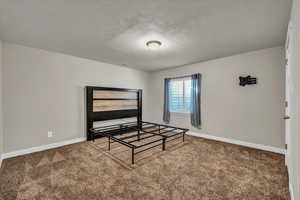 Unfurnished bedroom featuring carpet flooring and a textured ceiling