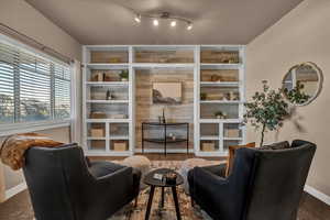 Sitting room with built in shelves and carpet floors