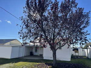 Back of property with a lawn and a patio