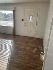 Entryway with dark wood-type flooring