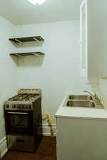 Kitchen featuring sink, gas range, and dark hardwood / wood-style flooring