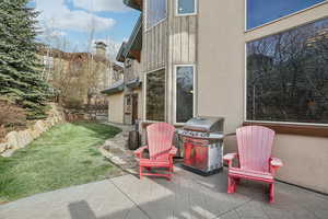 View of patio with area for grilling