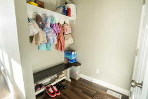 Mudroom with dark hardwood / wood-style floors