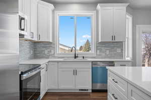 Kitchen featuring stainless steel appliances, white cabinetry, sink, and backsplash