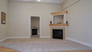 Living room with carpet, ceiling fan, and a gas insert fireplace