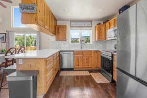 Kitchen with kitchen peninsula, a wealth of natural light, dark wood-type flooring, and appliances with stainless steel finishes