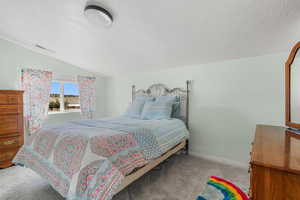 Carpeted bedroom with lofted ceiling and a textured ceiling