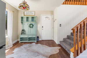 Foyer featuring dark wood-type flooring