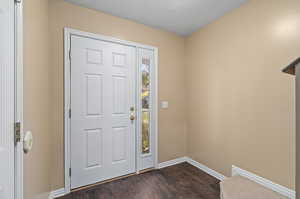 Entryway featuring dark wood-type flooring