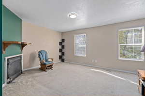 Sitting room with a textured ceiling, light carpet, and plenty of natural light