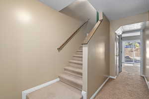 Stairway featuring carpet flooring