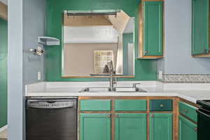 Kitchen featuring sink and black appliances