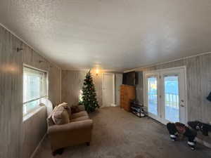 Carpeted living room with wooden walls and a textured ceiling