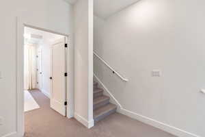 Staircase featuring carpet