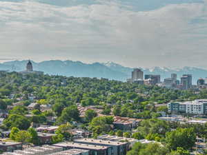 Drone / aerial view with a mountain view