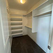 Spacious closet with dark colored carpet