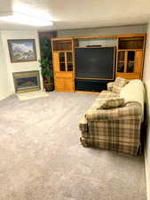 Carpeted living room with a textured ceiling