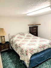 Bedroom with dark colored carpet