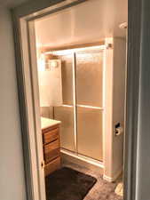 basement Bathroom with vanity, shower, toilet