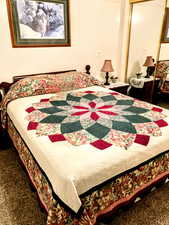 Carpeted bedroom featuring a closet