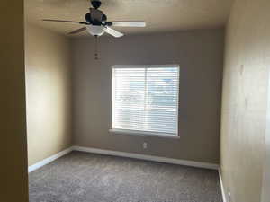 featuring ceiling fan and carpet now that unit is vacant for new owners