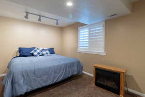 Carpeted bedroom with track lighting