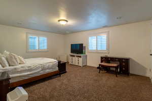 Bedroom with multiple windows and dark carpet