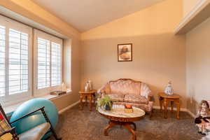 Greeting room featuring lofted ceiling and carpet floors