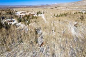 Birds eye view of property with a mountain view