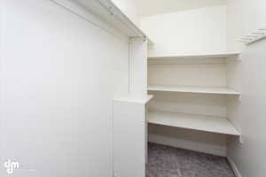 Primary / Master Bedroom Walk In Closet