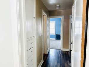 Hallway with dark hardwood / wood-style floors