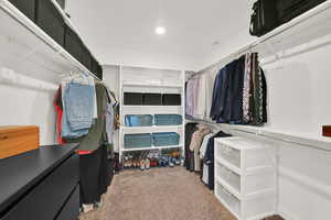 Spacious closet featuring carpet floors