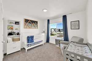 Carpeted bedroom featuring a nursery area