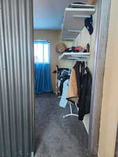 Spacious closet featuring dark colored carpet