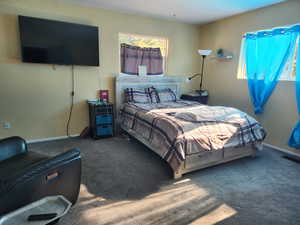 Bedroom with carpet and multiple windows