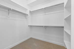 Spacious closet featuring carpet