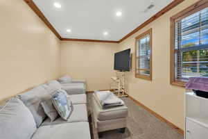 Living room with carpet and ornamental molding