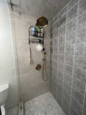 Bathroom featuring toilet and a tile shower