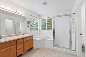 Master bathroom featuring vanity, shower with separate bathtub, and tile patterned flooring